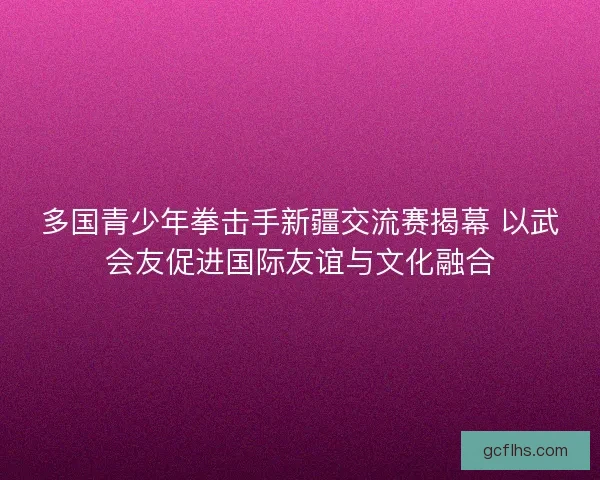 多国青少年拳击手新疆交流赛揭幕 以武会友促进国际友谊与文化融合 多国青少年拳击手新疆交流赛揭幕 以武会友促进国际友谊与文化融合